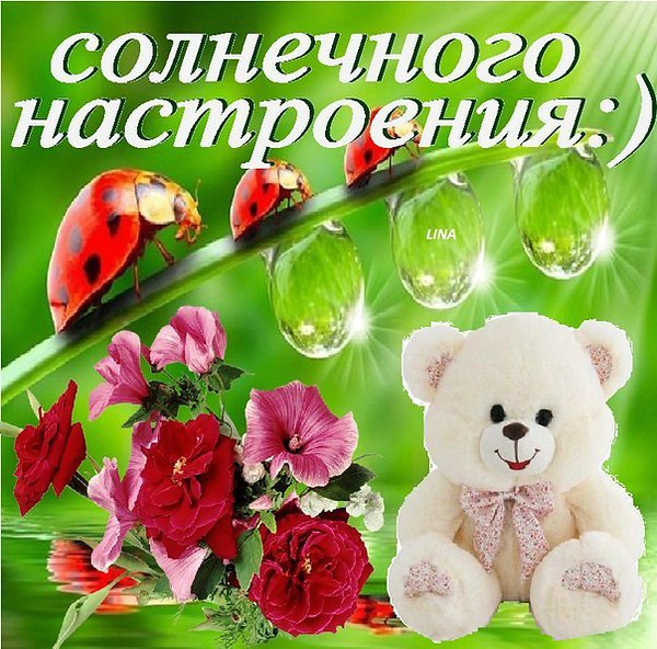 Открытки любимой для настроения 7