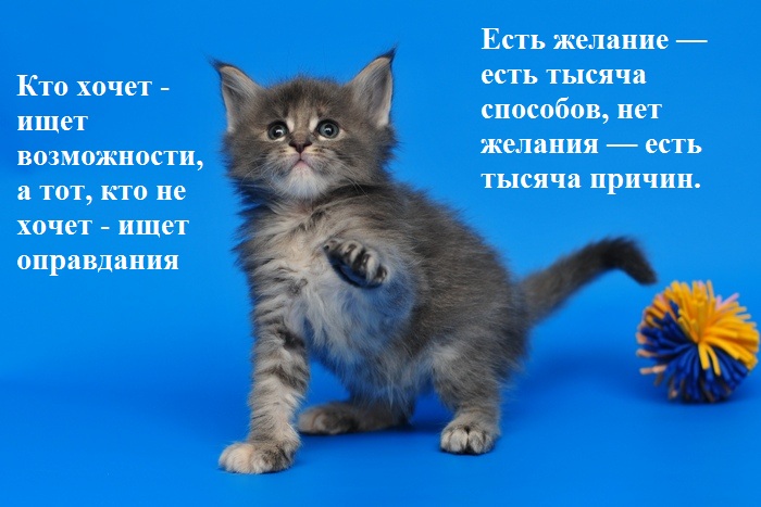 Поговорка есть захочешь Поговорка есть захочешь