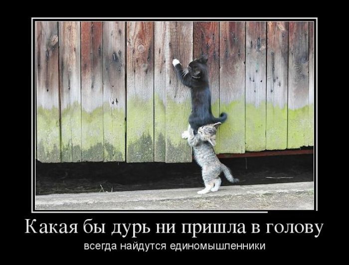 http://otvet.imgsmail.ru/download/47f4b1382a9652915da2f2c0f8eca23c_h-1614.jpg