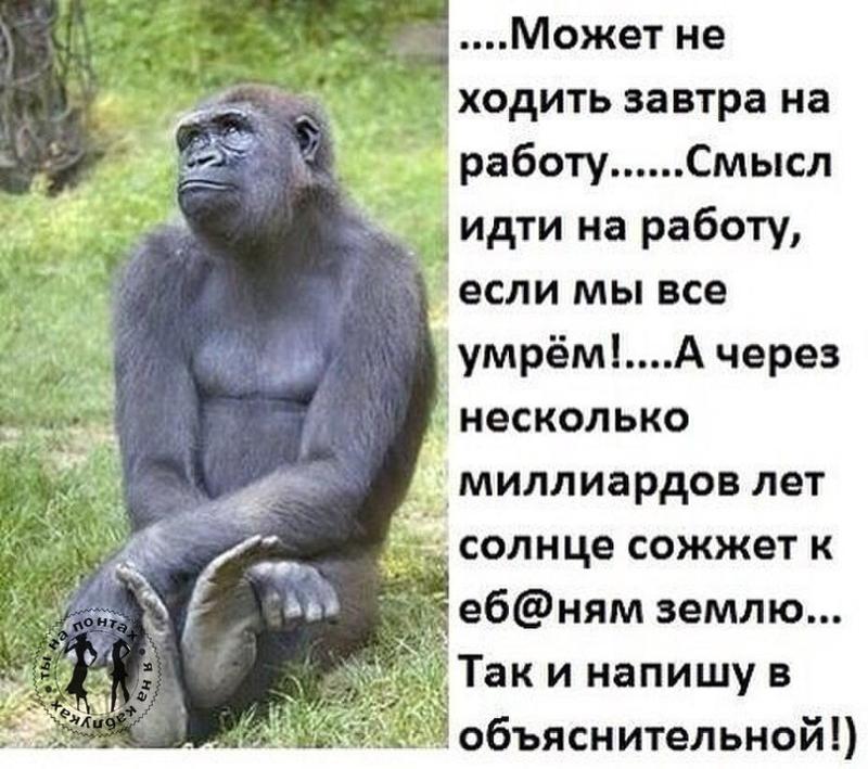 Открытки я иду на работу Открытки я иду на работу