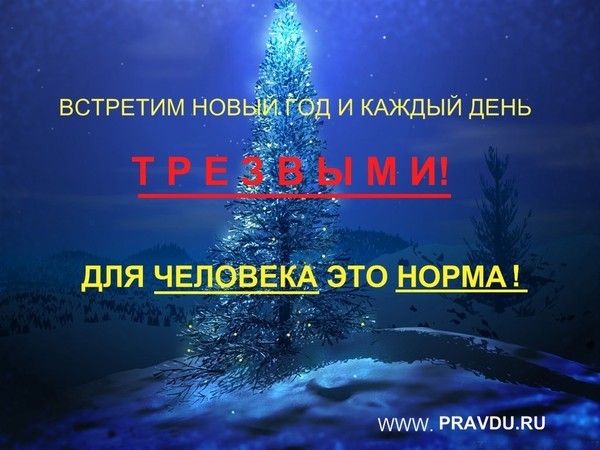 Встречу новый год один водка Встречу новый год один водка