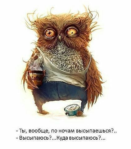 Не высыпаюсь ночью высыпаюсь днем Не высыпаюсь ночью высыпаюсь днем