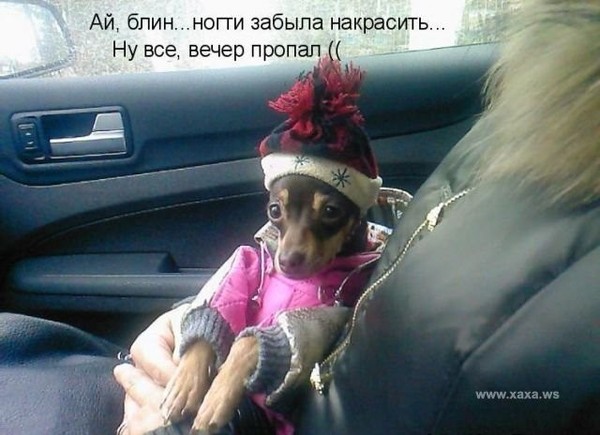 Приколы про ногти