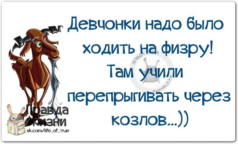 Как сделать двери крыло Как сделать двери крыло