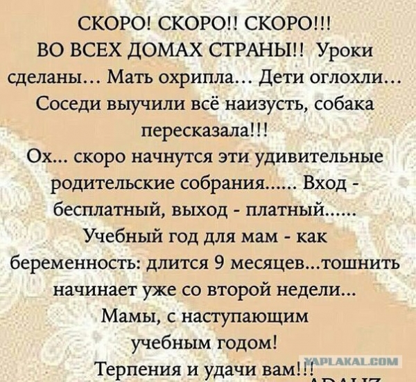 Статусы про начиная школы Статусы про начиная школы