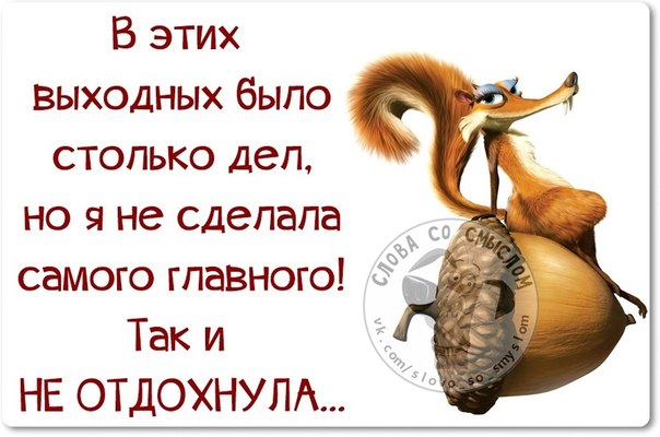 Отдыхай мне до вас статус Отдыхай мне до вас статус