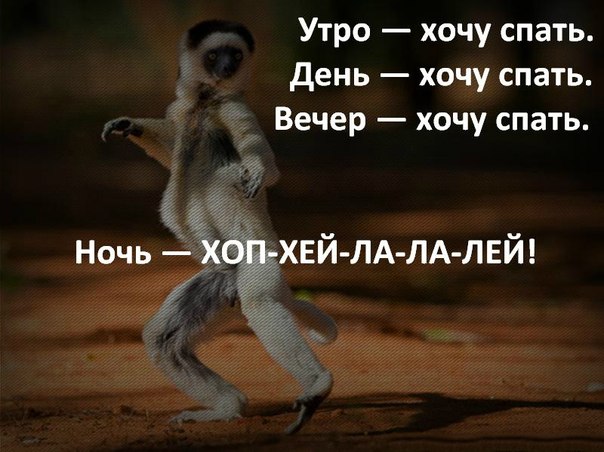 Кто спит днём не спит ночью Кто спит днём не спит ночью