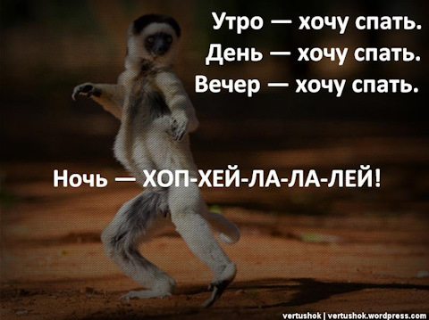 Как можно не спать днем Как можно не спать днем