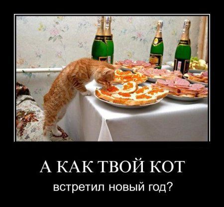 Нет настроение на новый год Нет настроение на новый год