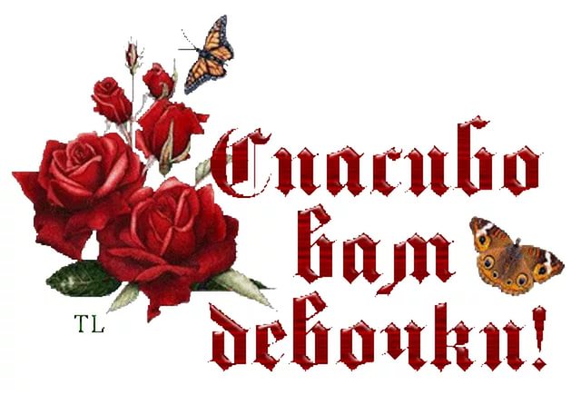 Мои дорогие спасибо вам за поздравления