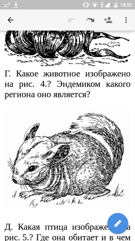 У животного изображенного на рисунке У животного изображенного на рисунке