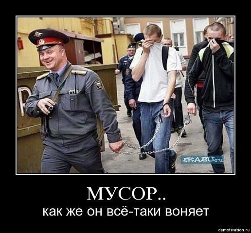 Почему мусоров называют мусорами Почему мусоров называют мусорами