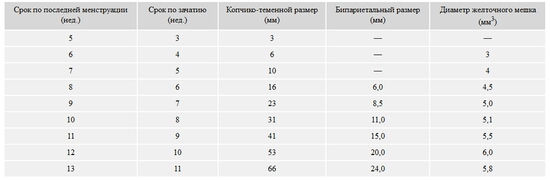 Сроки беременности копчико-теменному