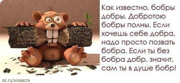 Бобр поздравление Бобр поздравление