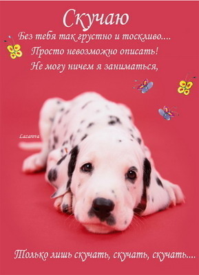 31 декабря Википедия В Печорах / Православие. Ru