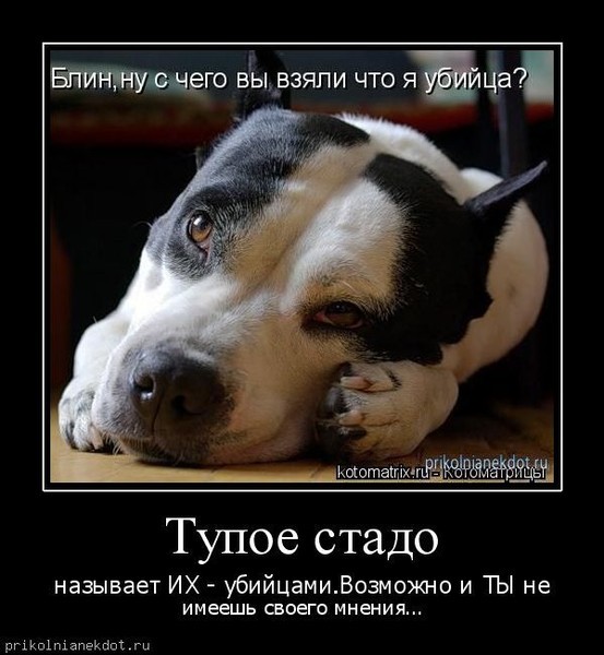 Как сделать домашний дезодорант? Антиперспирант в домашних условиях Женские стрижки на короткие волосы знаменитостей фото