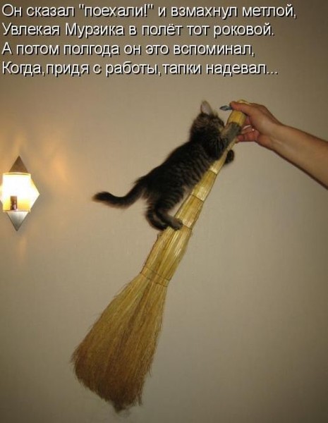 Поздравления про веник Поздравления про веник