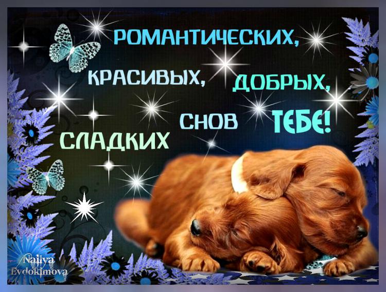 Картинки открытки ночи сладких снов Картинки открытки ночи сладких снов