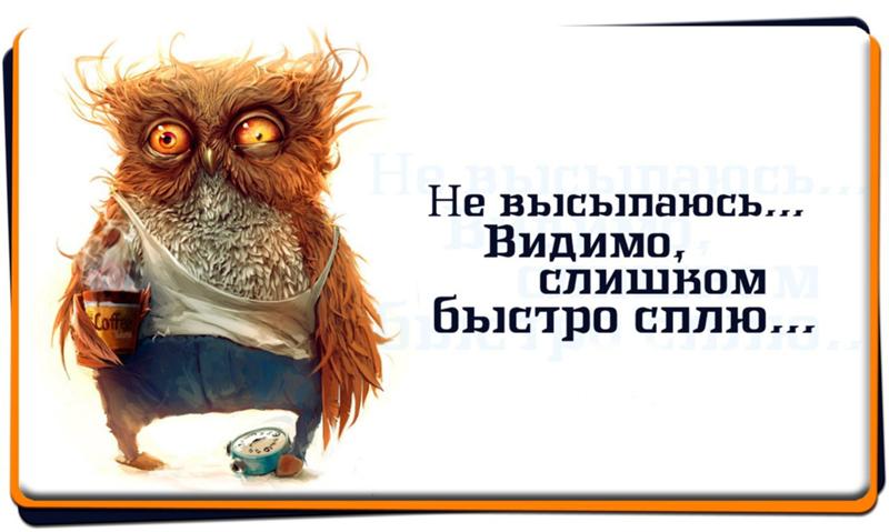 Не выспаться пословица Не выспаться пословица