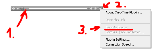 Как сделать гифку quicktime Как сделать гифку quicktime