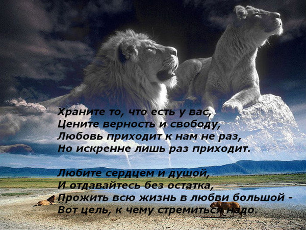 О верности и любви в прозе О верности и любви в прозе