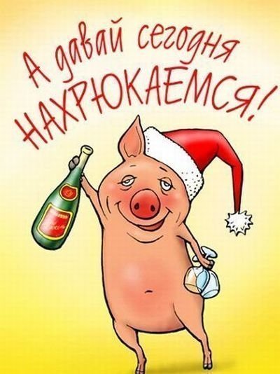 С днем рождения поздравления не пей 972