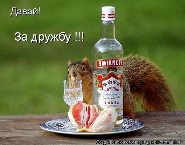 Поздравление а не выпить ли нам по рюмашке Поздравление а не выпить ли нам по рюмашке