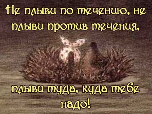 Ежик в тумане открытка с днем рождения 15