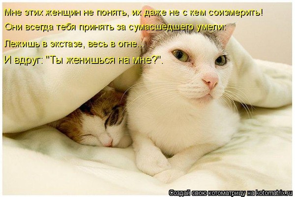 Прижмусь к тебе телом и как Прижмусь к тебе телом и как