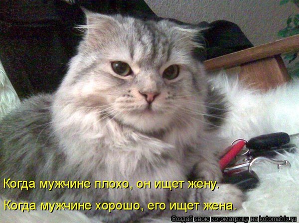 Статус про то что я в гневе Статус про то что я в гневе