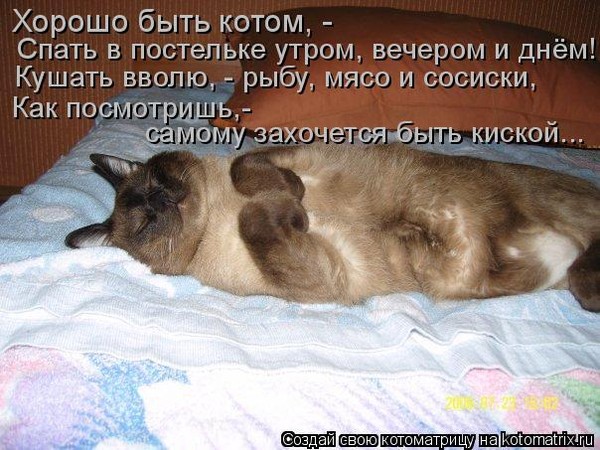 Почему в доме всегда хочется спать Почему в доме всегда хочется спать
