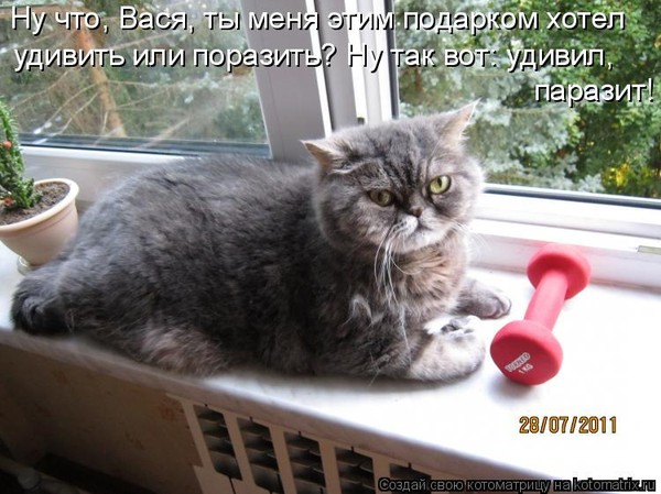 Статус я самая счастливая мама стихи Статус я самая счастливая мама стихи