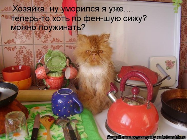 Поздравление хозяйке от кошки Поздравление хозяйке от кошки