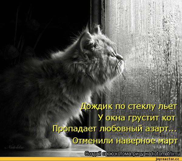 Конкурсы красоты. Мисс. - Страница 4 - Inter-Kultur Haus Конкурсы и олимпиады по географии - Эрудит