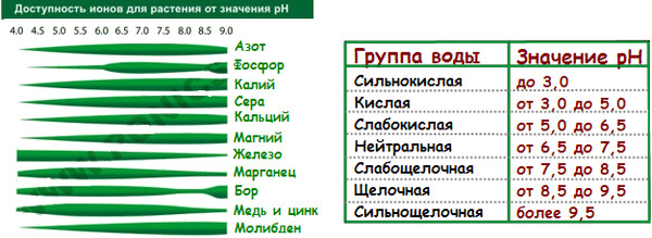 Как в домашних условиях измерить ph воды в домашних условиях