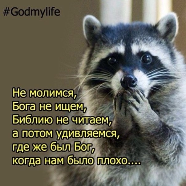 Если бог есть то почему не отвечает Если бог есть то почему не отвечает