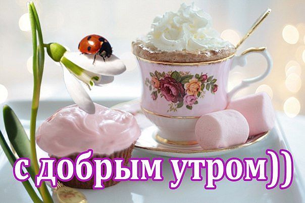 С добрым утром скачать открытки С добрым утром скачать открытки