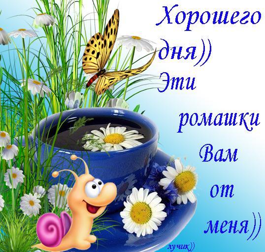 Большие пожелания хорошего дня Большие пожелания хорошего дня