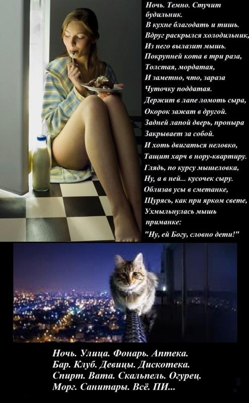 Стих напиши мне что ночь темна Стих напиши мне что ночь темна