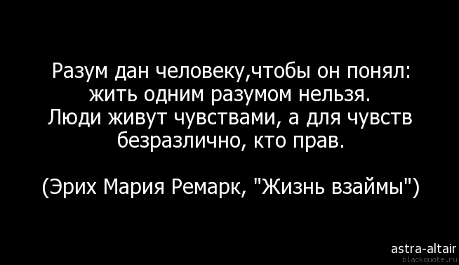 Цитаты о уме и разуме Цитаты о уме и разуме