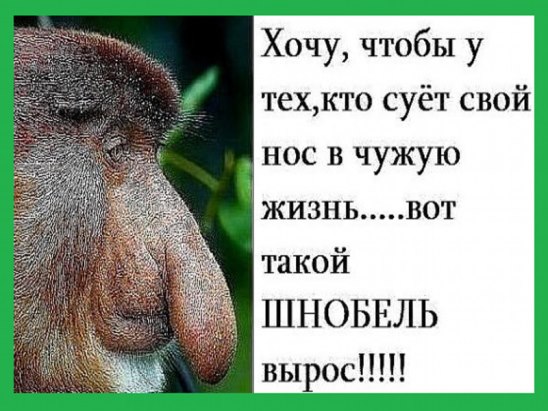 Статусы о своем и чужому Статусы о своем и чужому