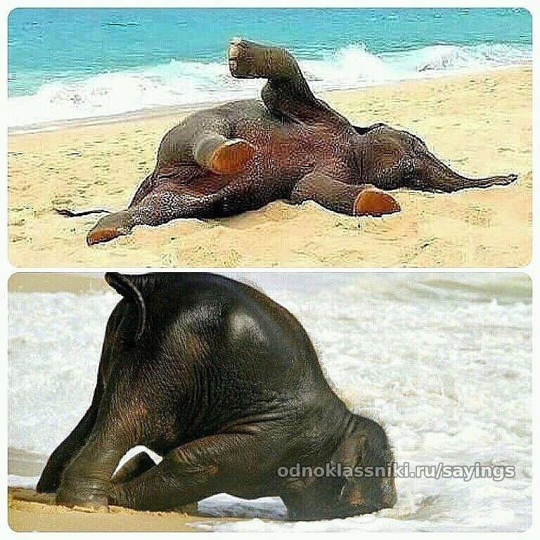 Статус когда едешь на море Статус когда едешь на море