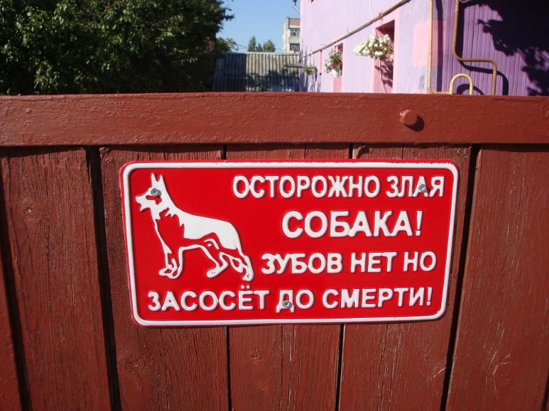 Злая собака но без зубов Злая собака но без зубов