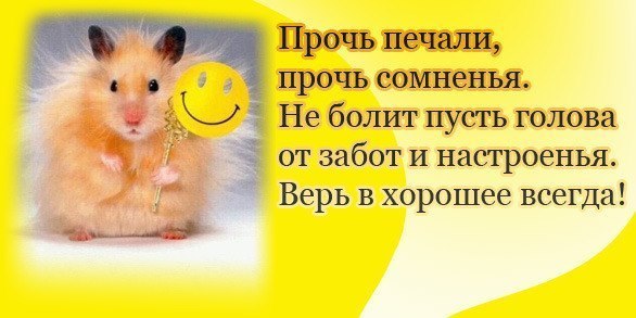 Слова в прозе для поднятия настроения Слова в прозе для поднятия настроения