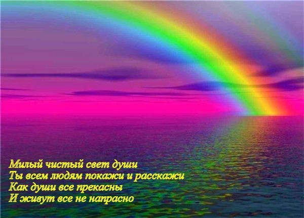 Как живут ахатины в домашних условиях фото Как живут ахатины в домашних условиях фото