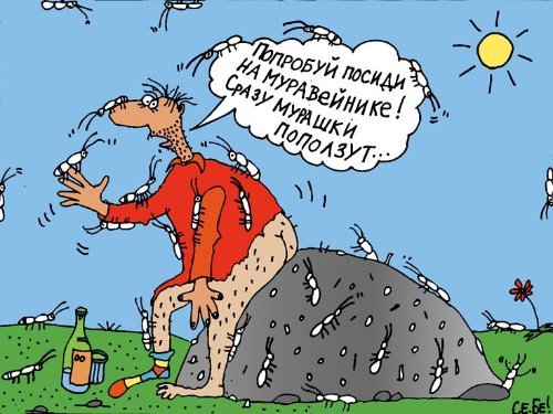 Муравей ебет слониху анекдоты Муравей ебет слониху анекдоты