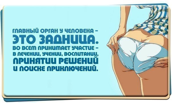 Афоризмы про задницу Афоризмы про задницу