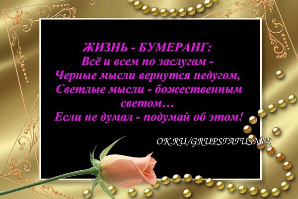 Тосты о жизни и жизнь Тосты о жизни и жизнь