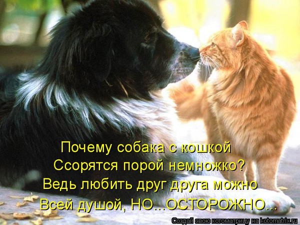 Открытка не ругайся