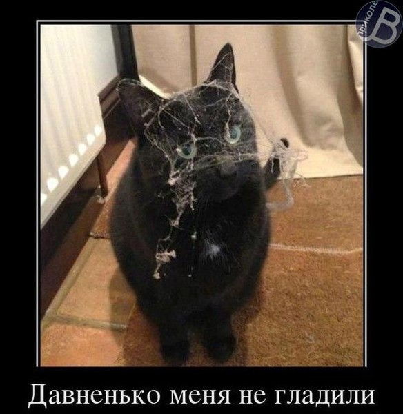 Давненько я этого жду как сделать